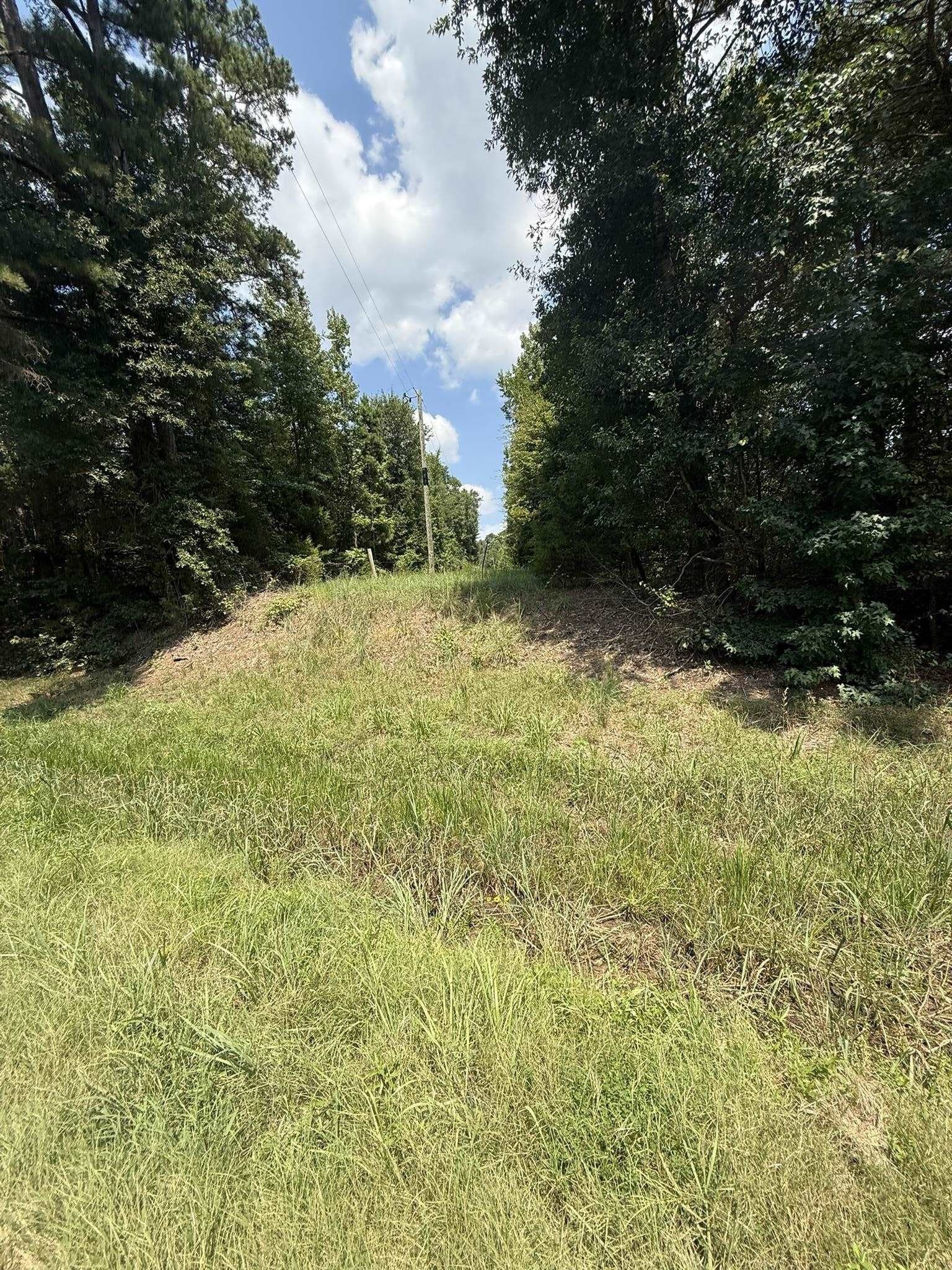5 acres in Texas County - photo 23