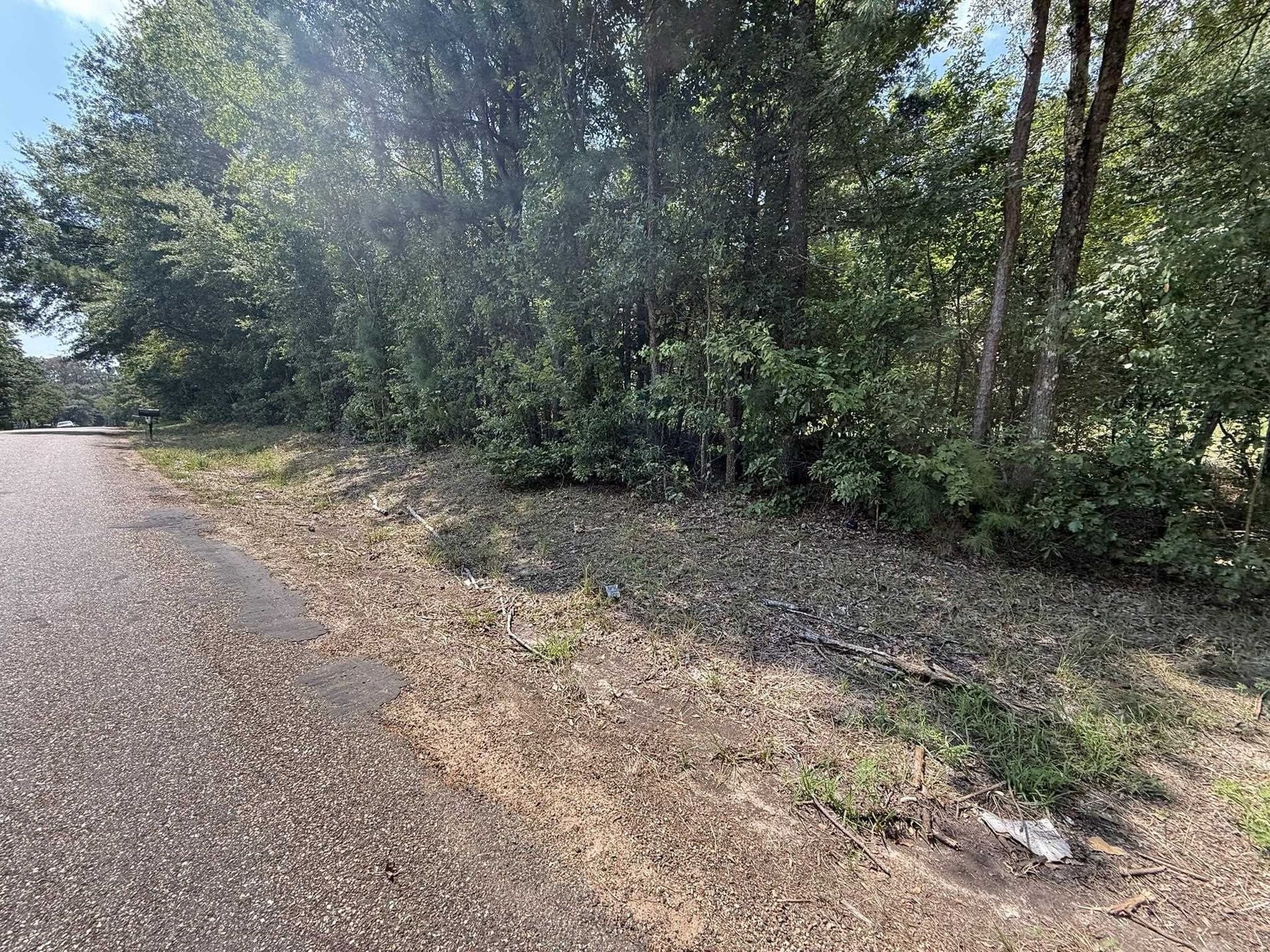 5 acres in Texas County - photo 9