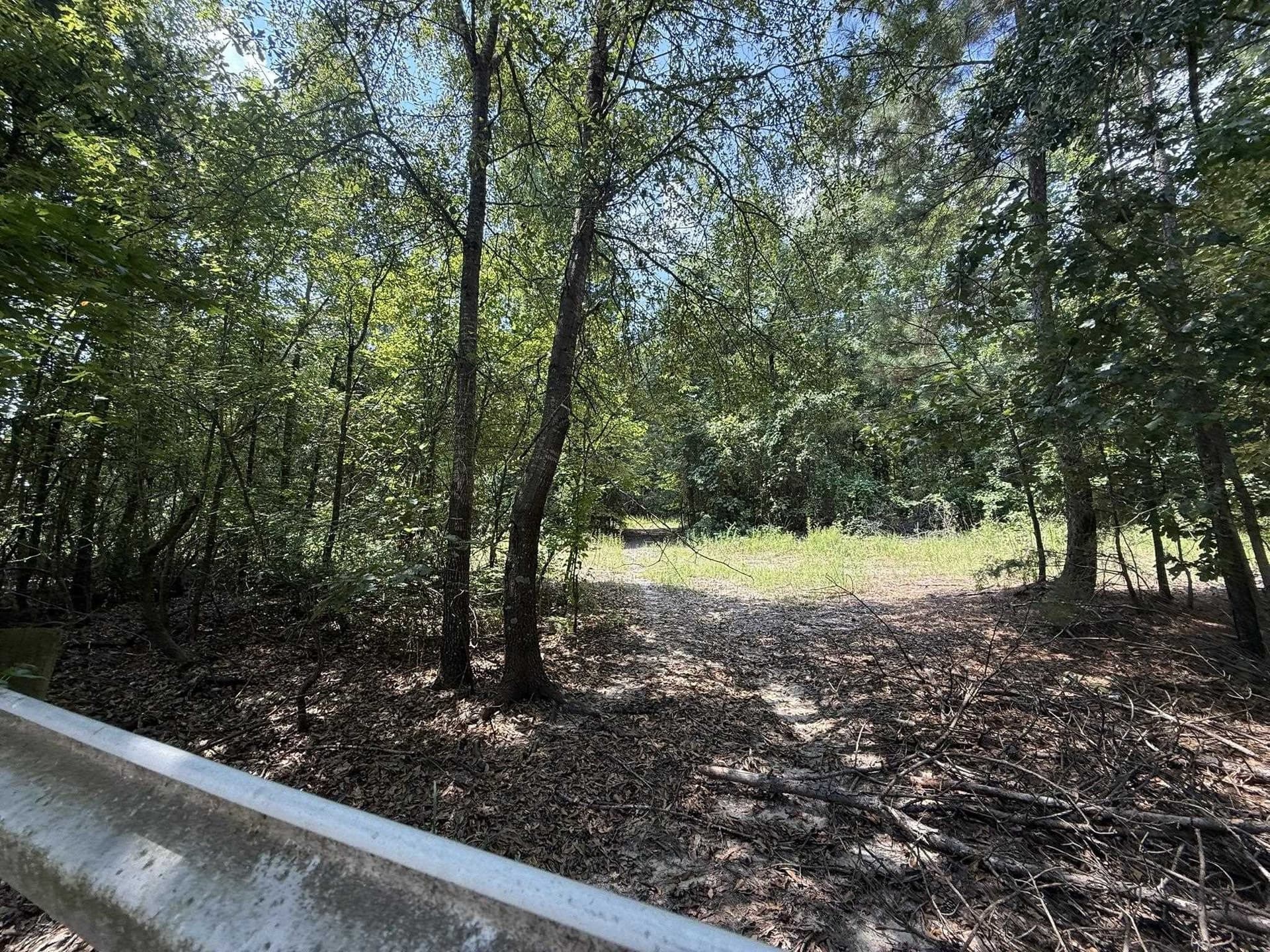 5 acres in Texas County - photo 6