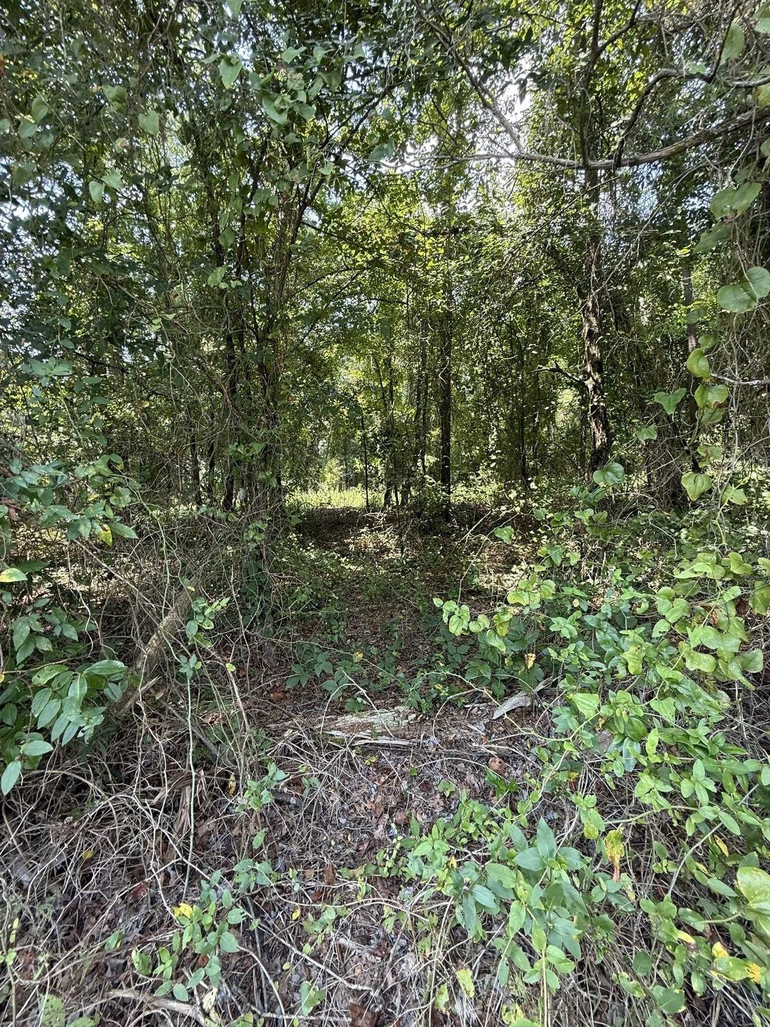 5 acres in Texas County - photo 18