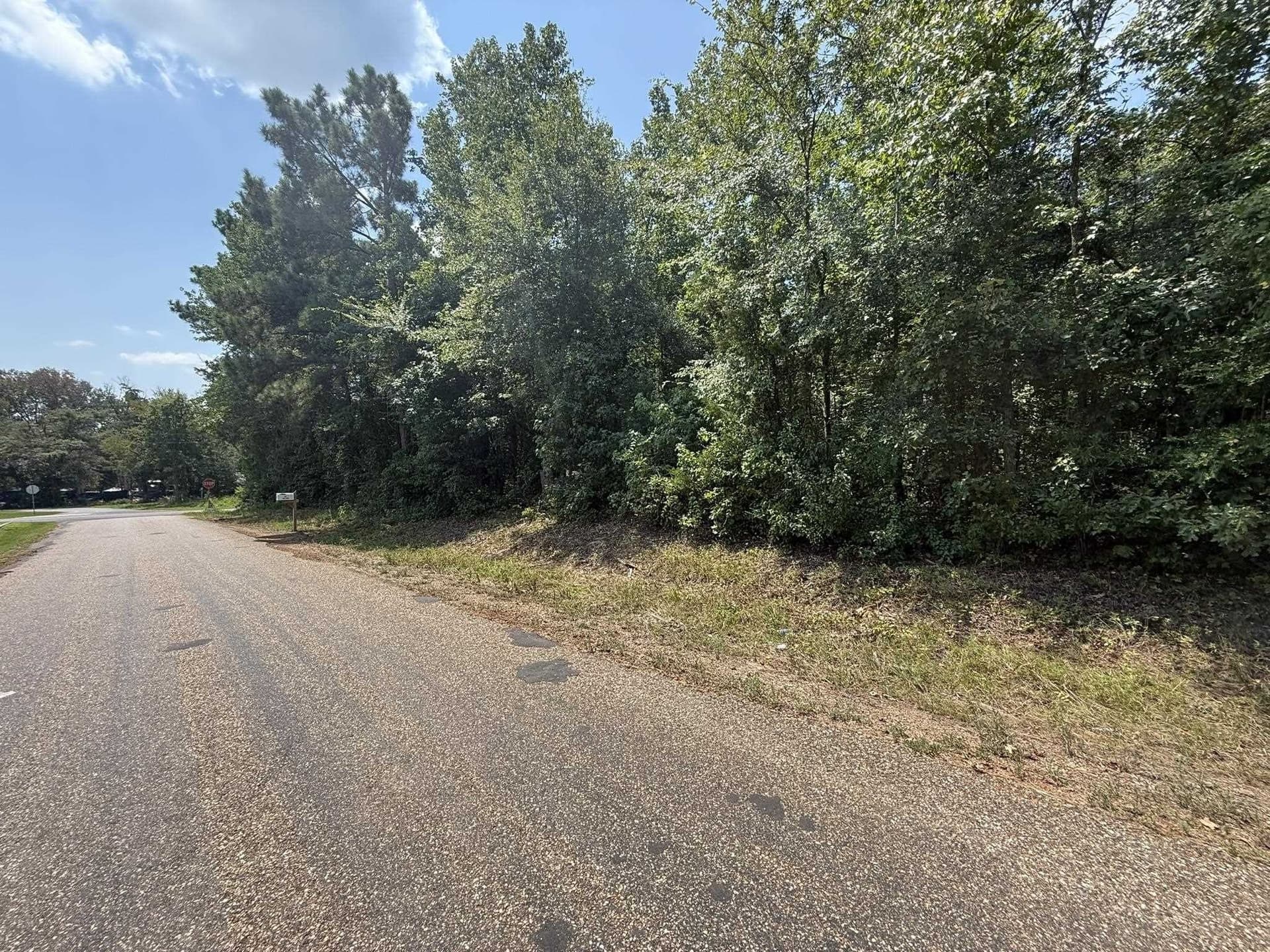 5 acres in Texas County - photo 14