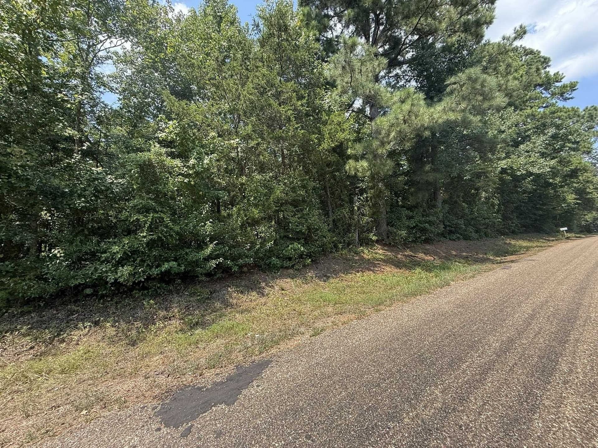 5 acres in Texas County - photo 12