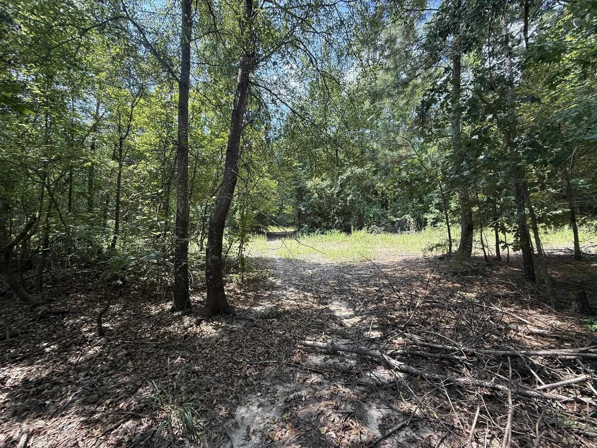 5 acres in Texas County - photo 5