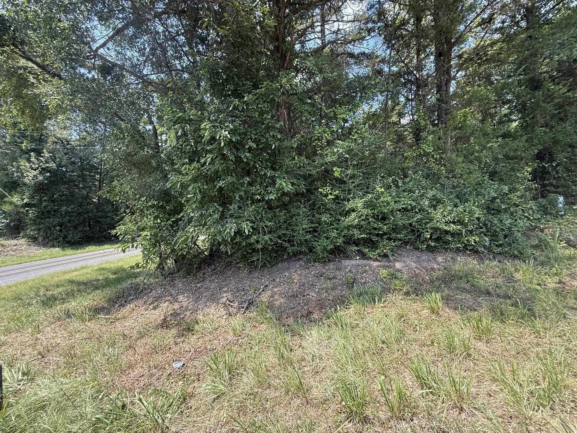 5 acres in Texas County - photo 22