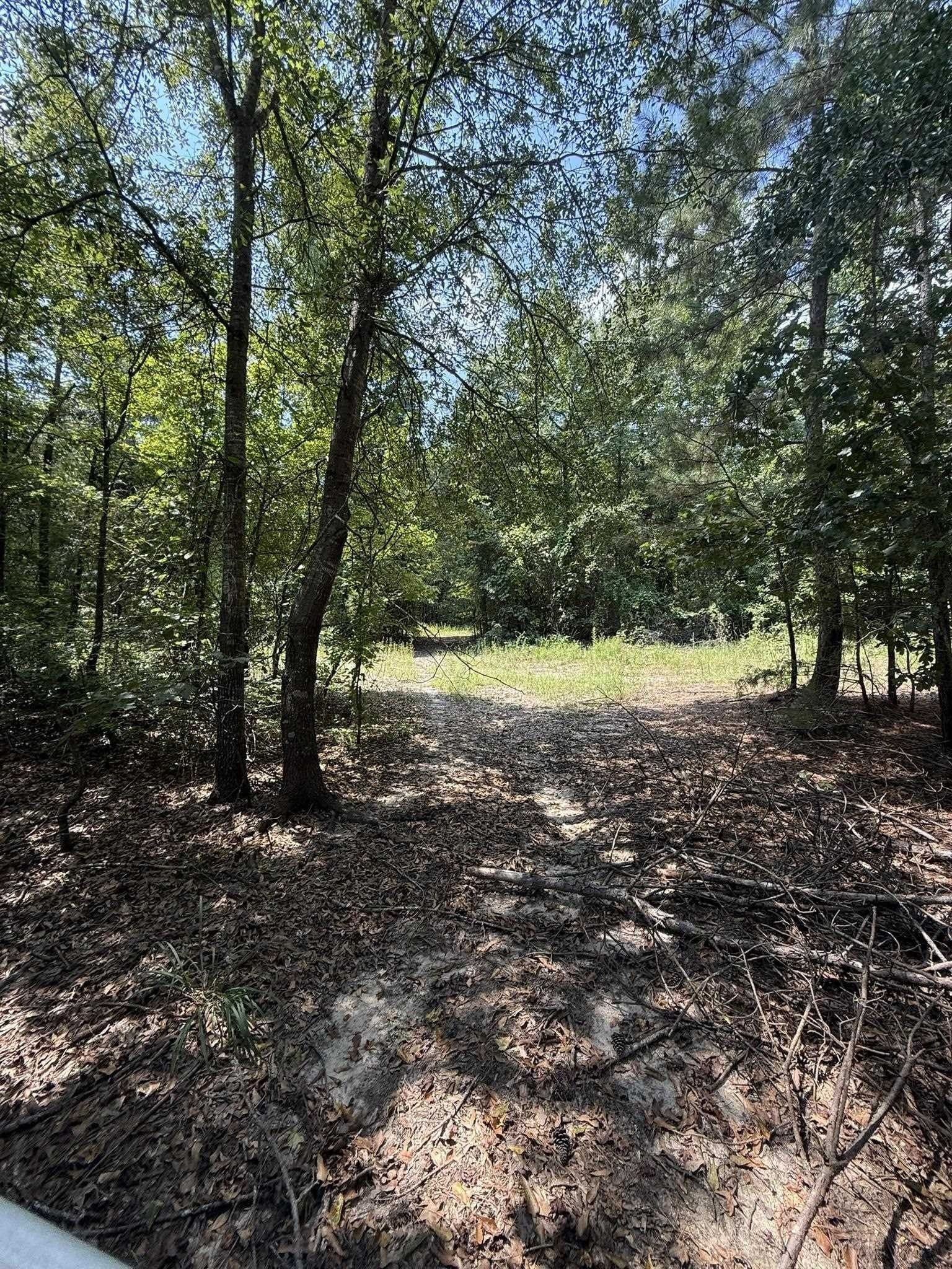 5 acres in Texas County - photo 7