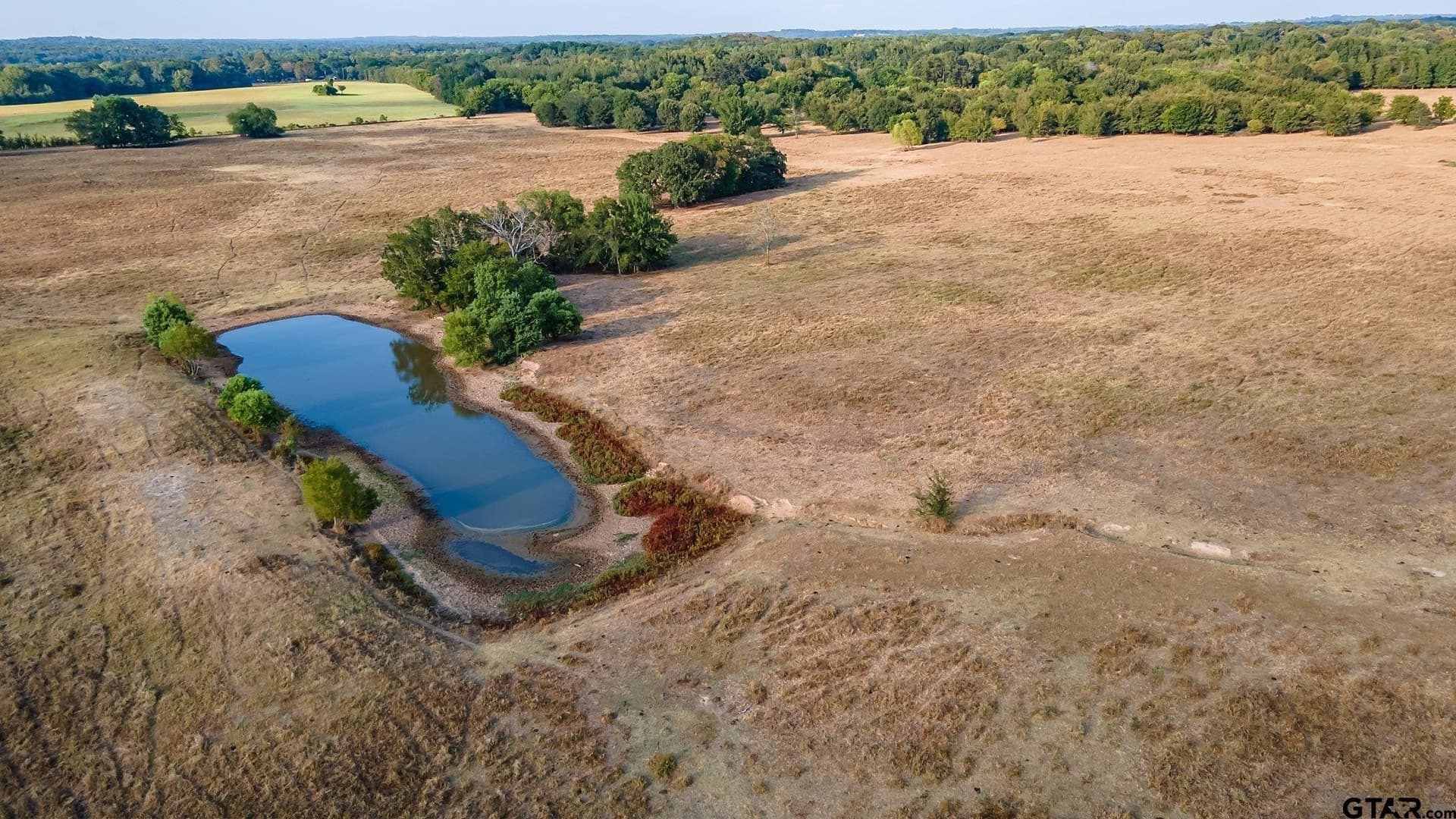 55 acres in Smith County