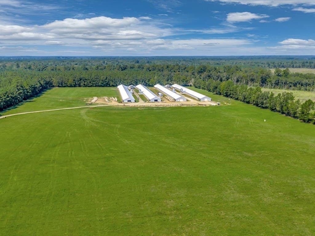 53.44 acres in Texas County gallery image 2