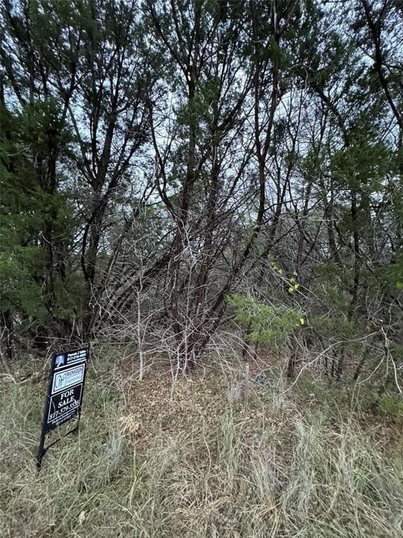 0.24 acres in Hood County gallery image 4