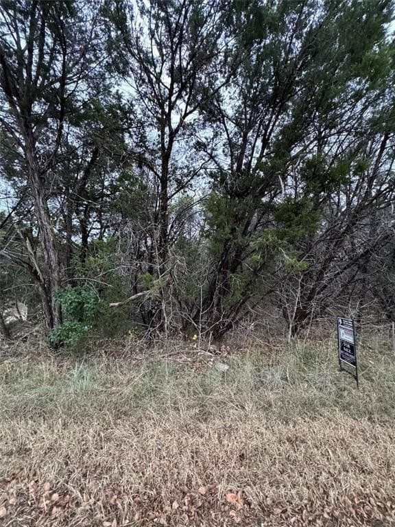 0.24 acres in Hood County featured view