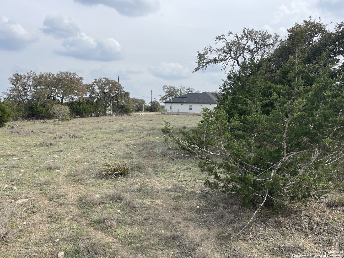 0.33 acres in Blanco County gallery image 3