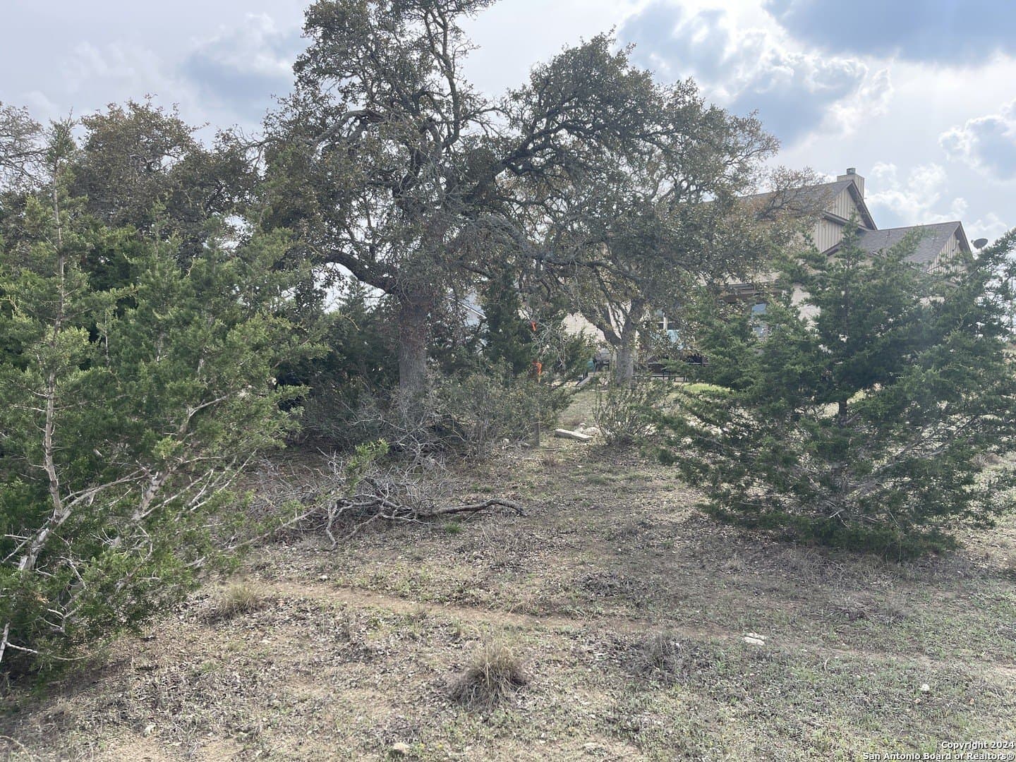 0.33 acres in Blanco County gallery image 4