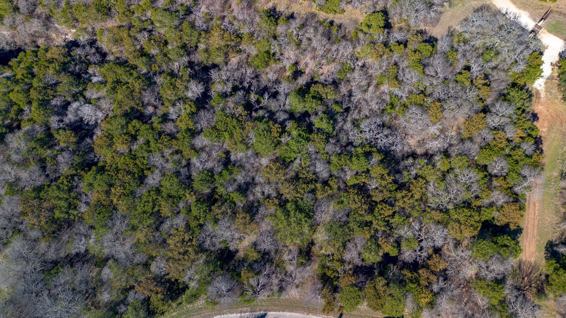 0.83 acres in Hill County - photo 12