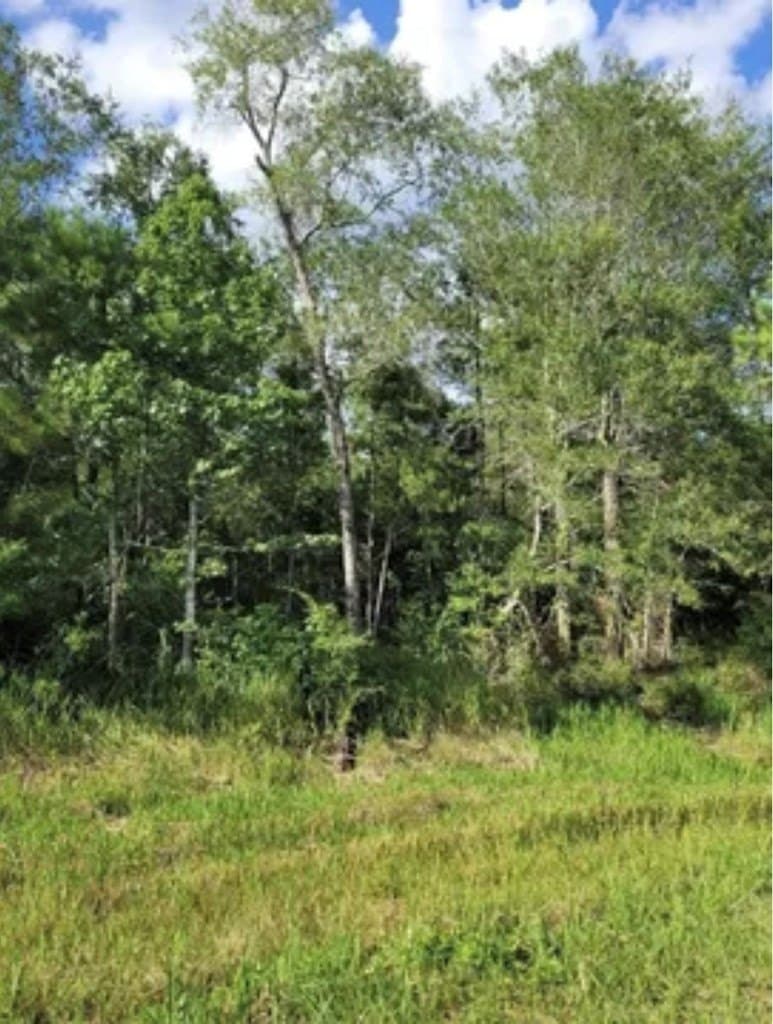 5 acres in Texas County gallery image 2
