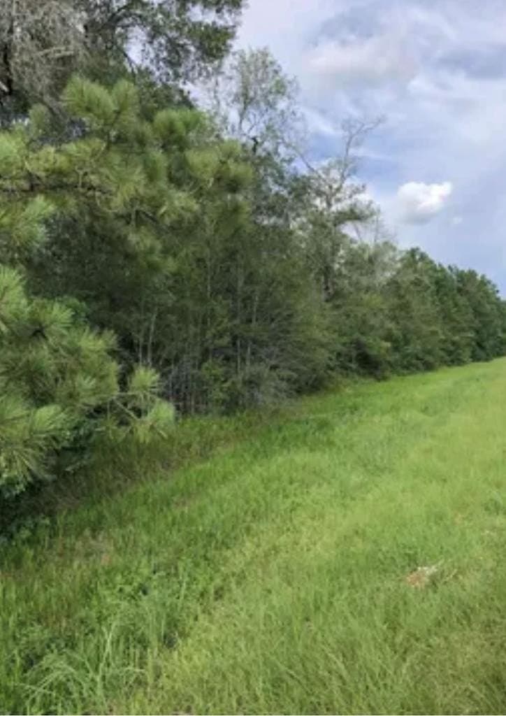 5 acres in Texas County