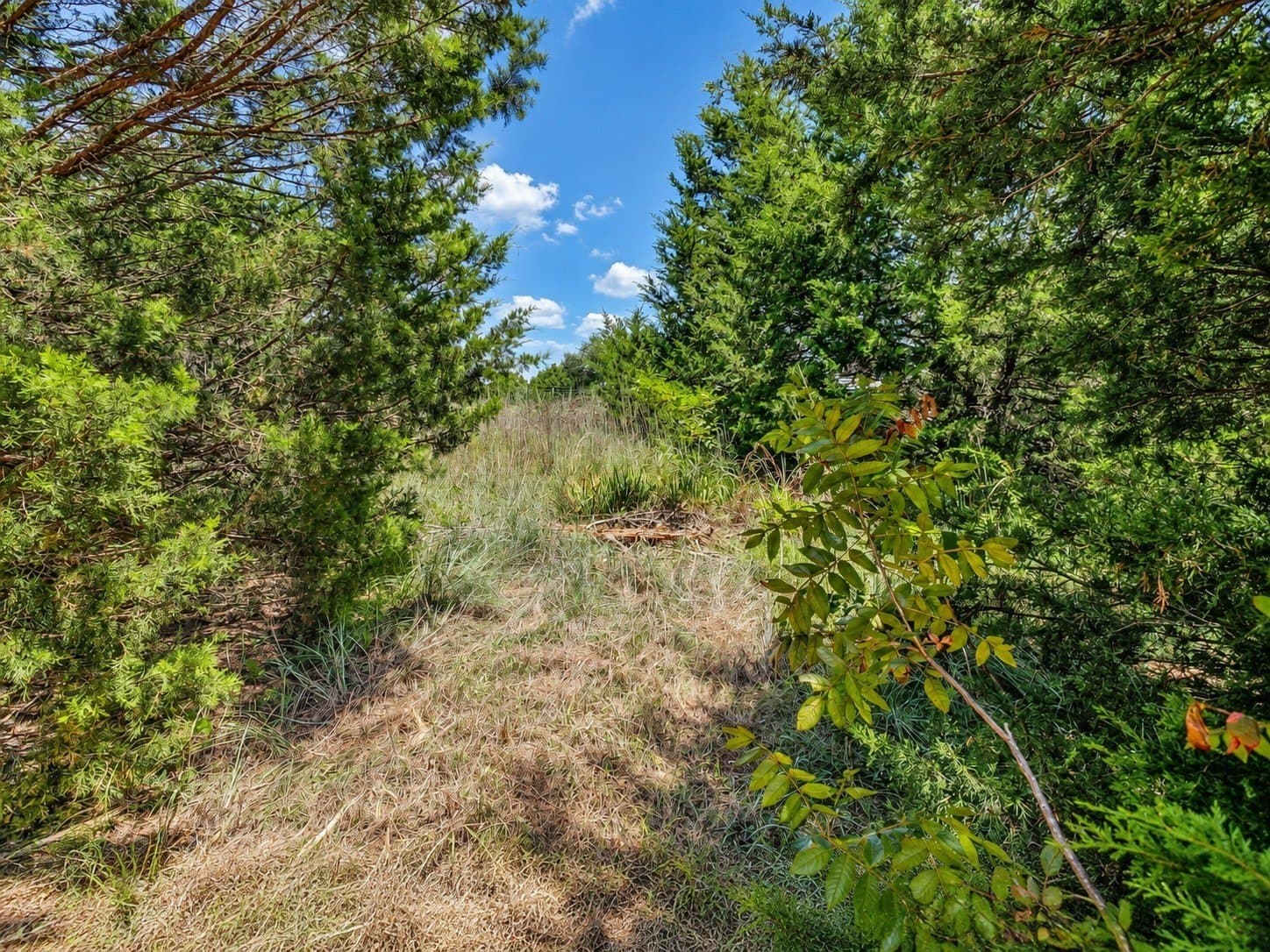2.38 acres in Johnson County - photo 14