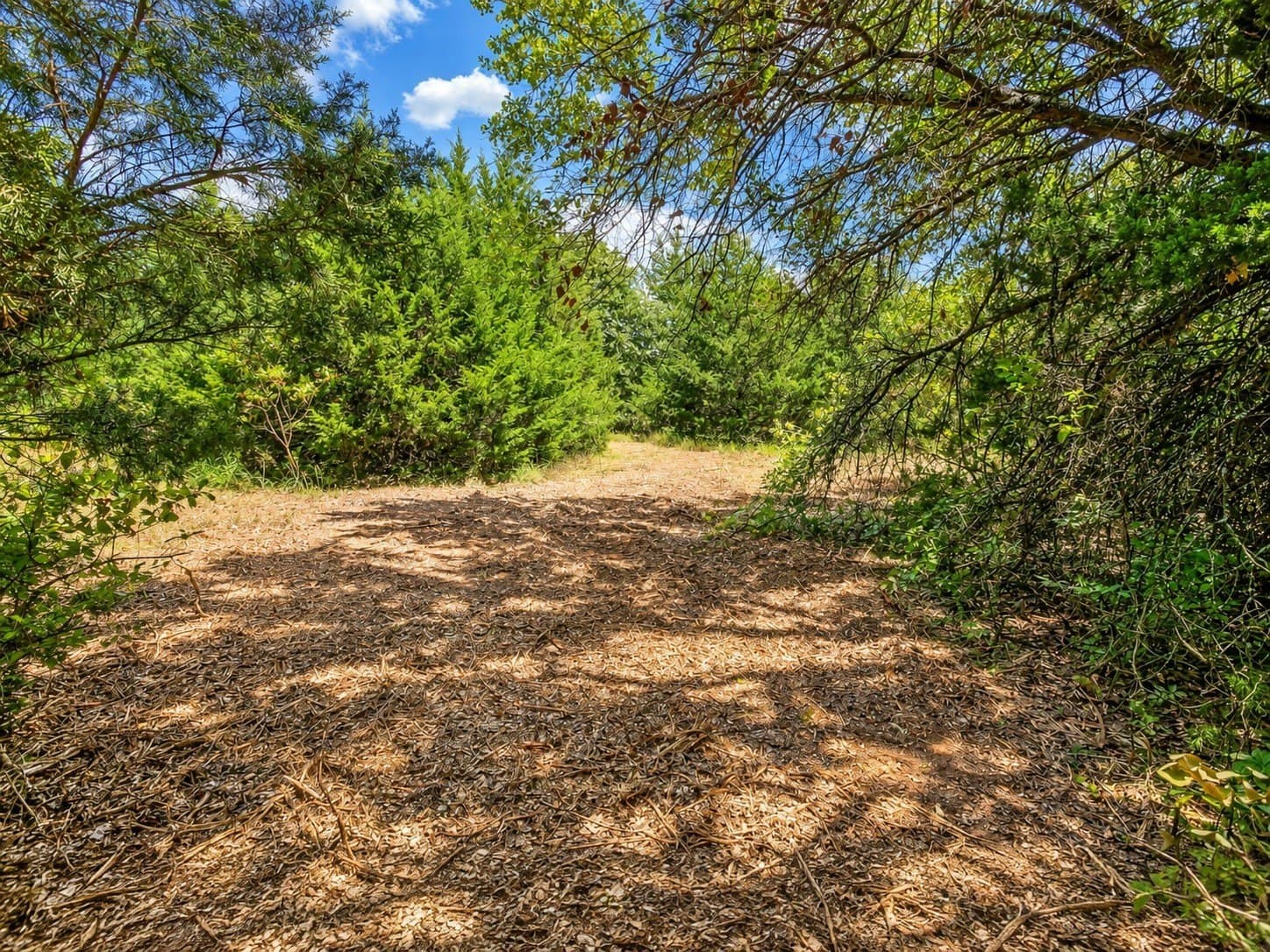 2.38 acres in Johnson County - photo 17