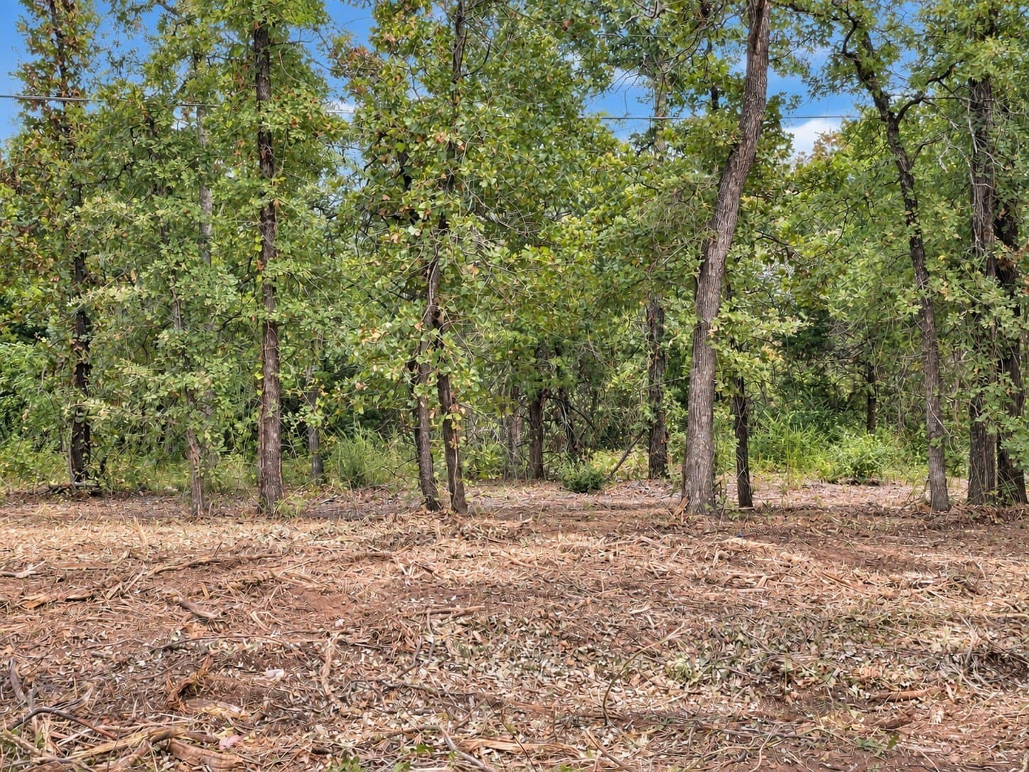 2.38 acres in Johnson County - photo 11