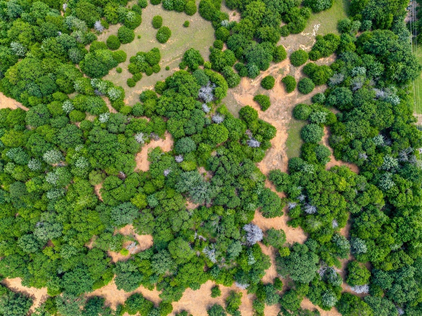 2.38 acres in Johnson County - photo 13