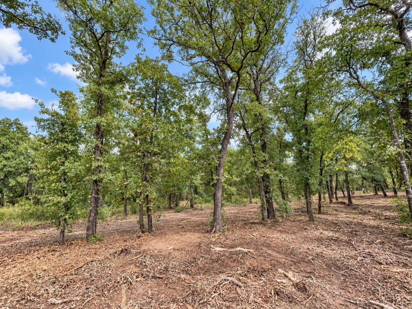 2.38 acres in Johnson County - photo 12