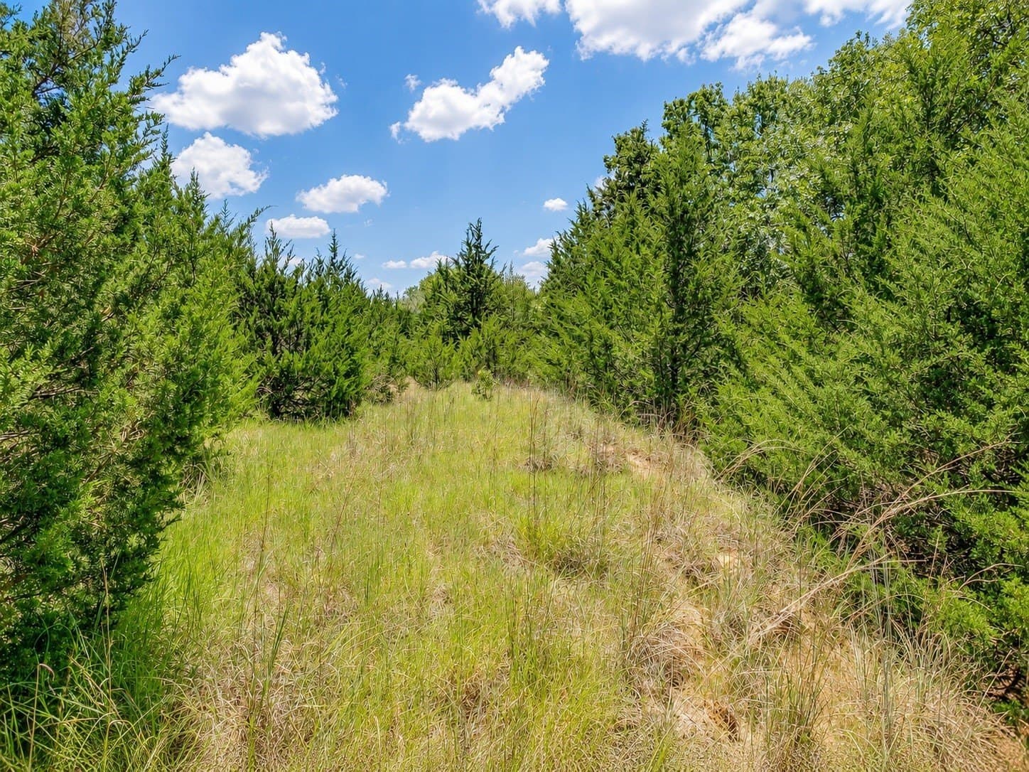 2.38 acres in Johnson County - photo 15