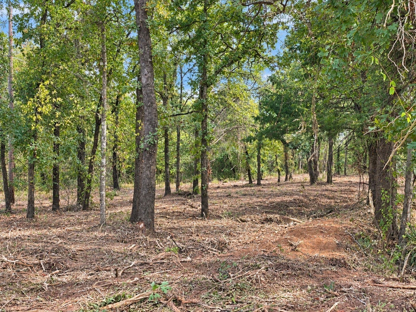 2.38 acres in Johnson County - photo 10