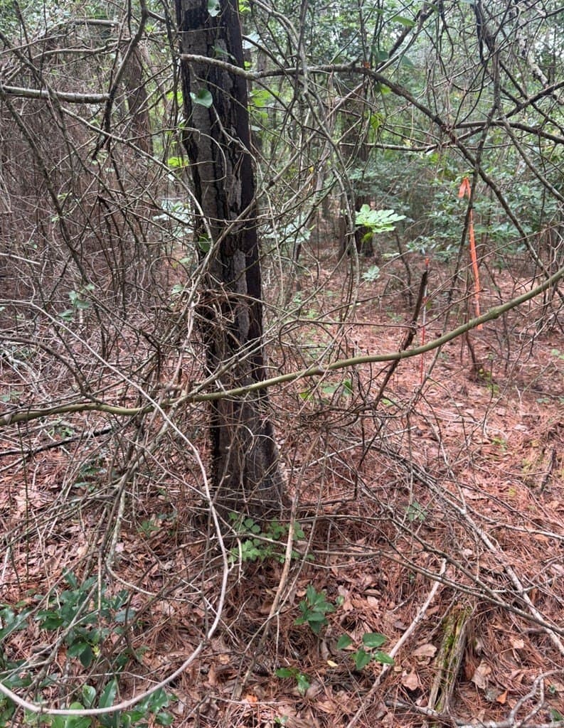 1.12 acres in ANDERSON County - photo 6