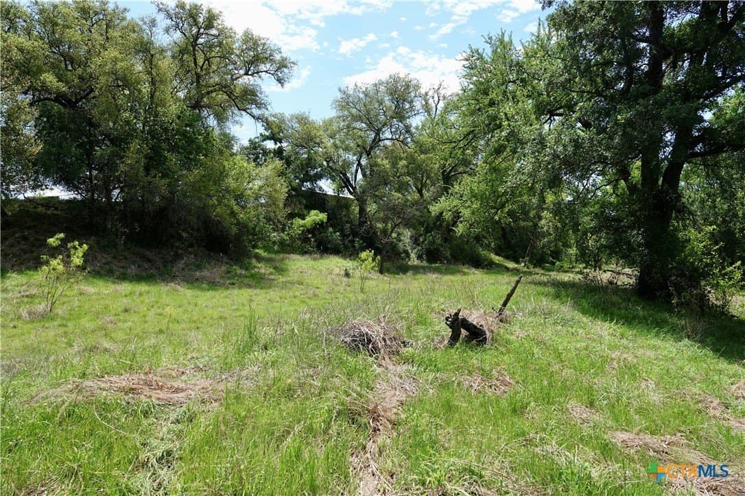 20 acres in Mills County - photo 11