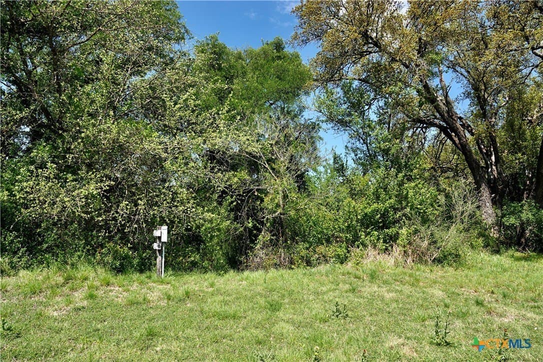 20 acres in Mills County - photo 24