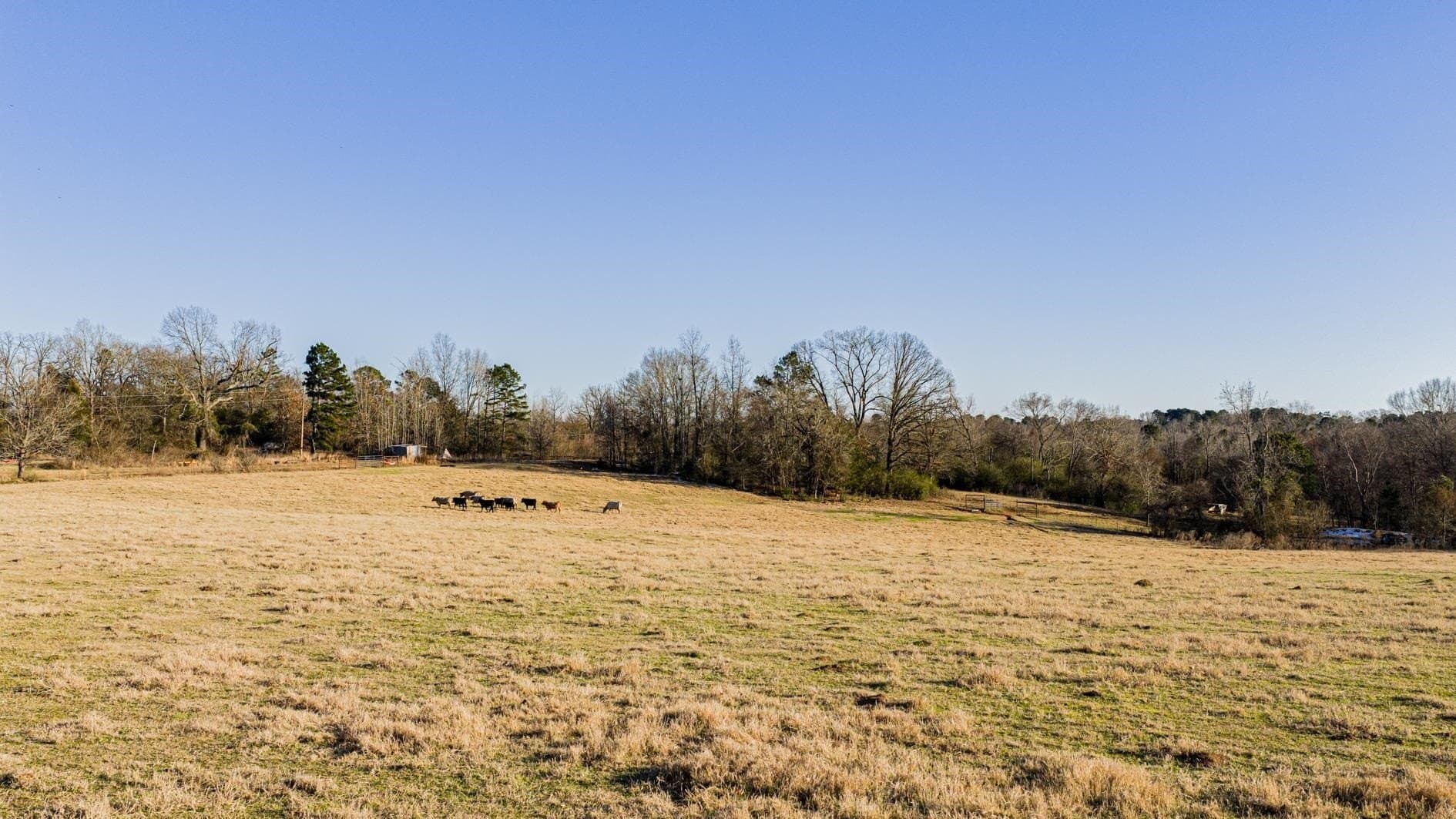 22.73 acres in Texas County gallery image 3