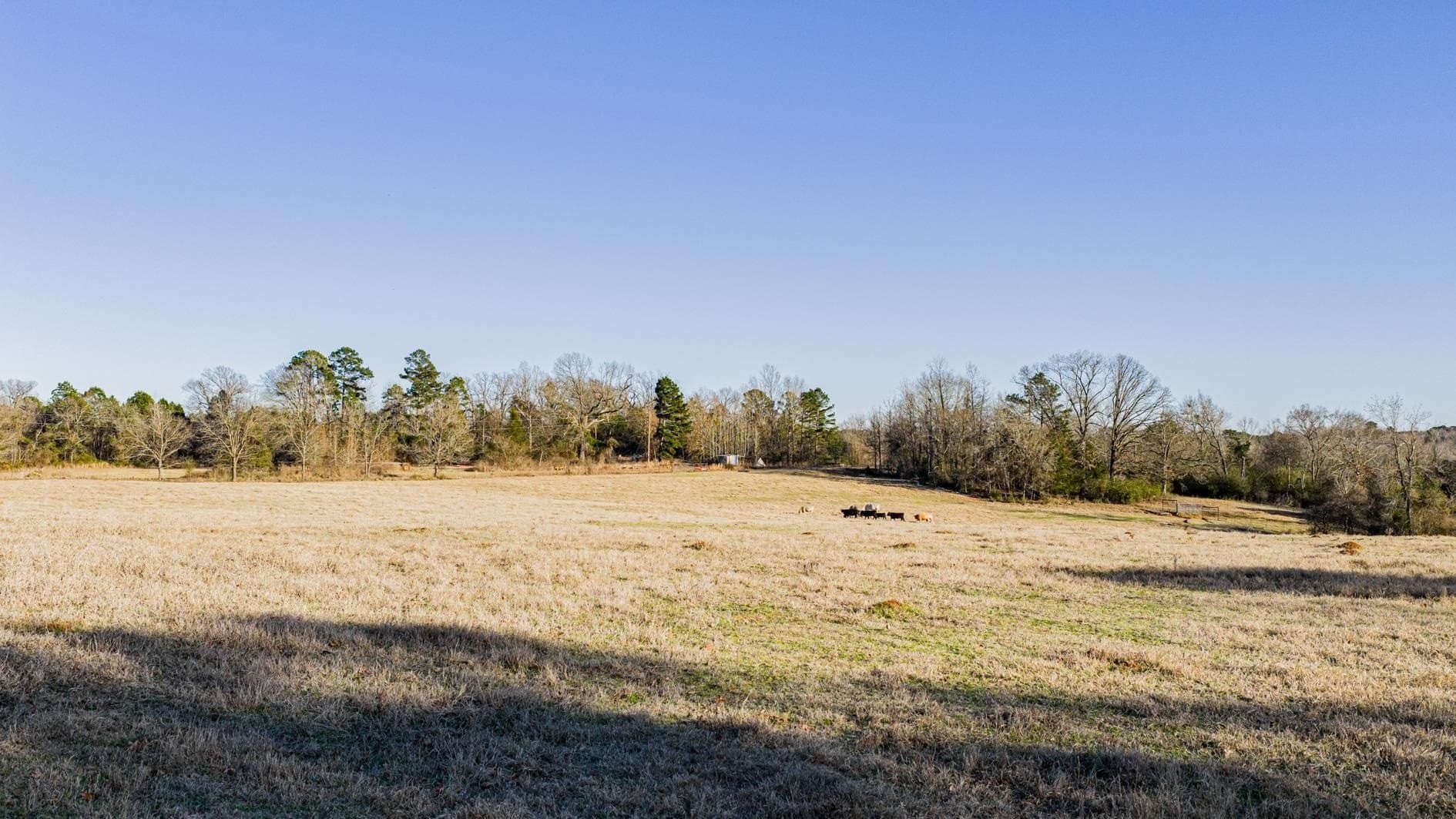 22.73 acres in Texas County gallery image 4
