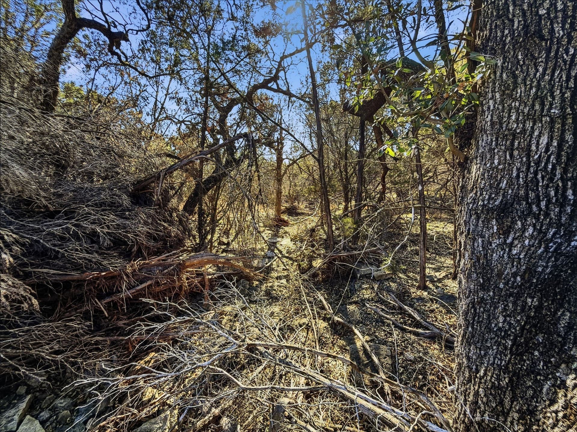 100 acres in Hamilton County - photo 7