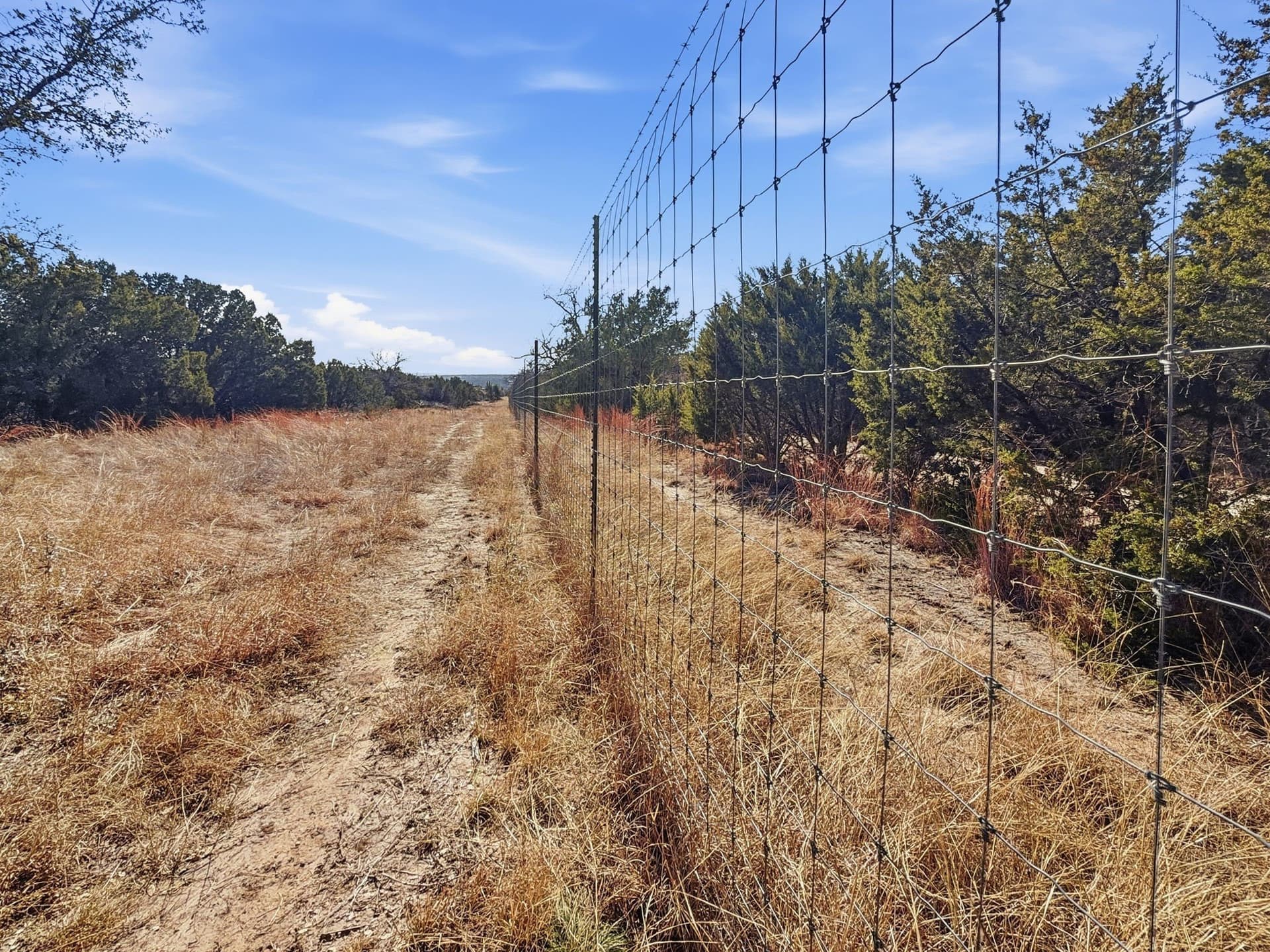 100 acres in Hamilton County - photo 6