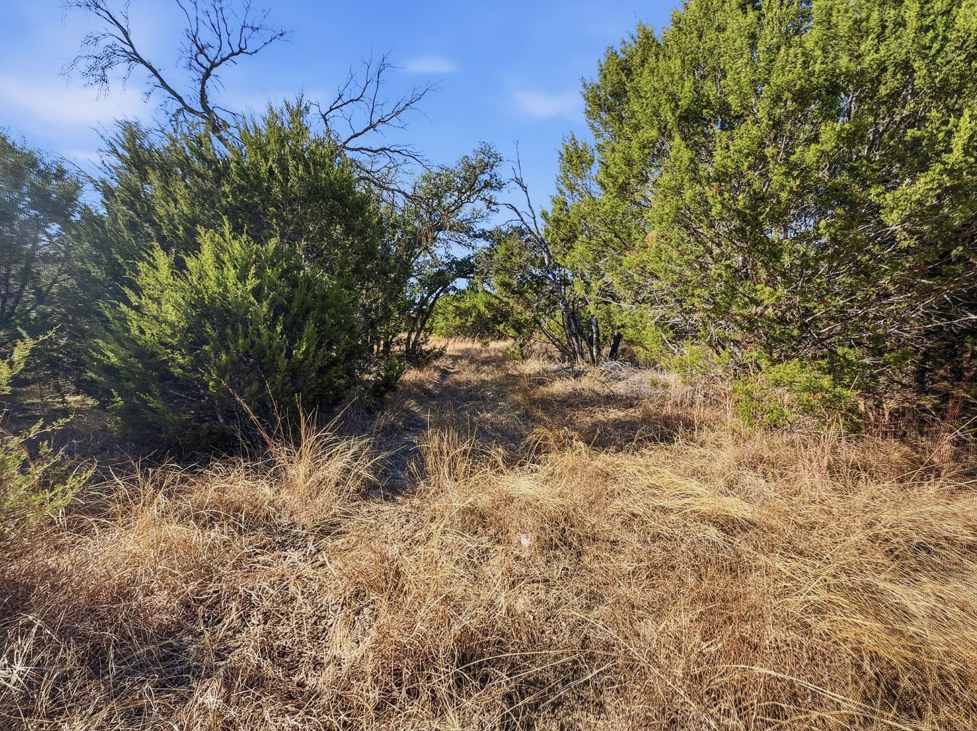 100 acres in Hamilton County - photo 4