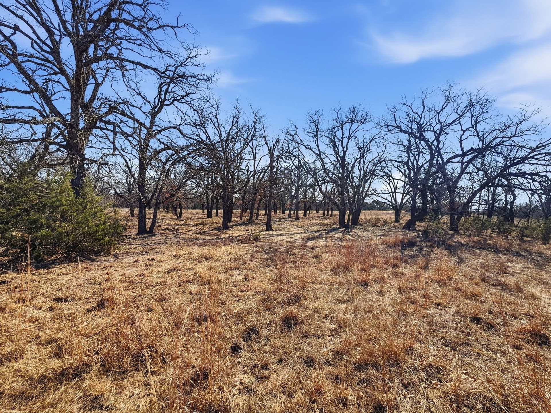 100 acres in Hamilton County - photo 5