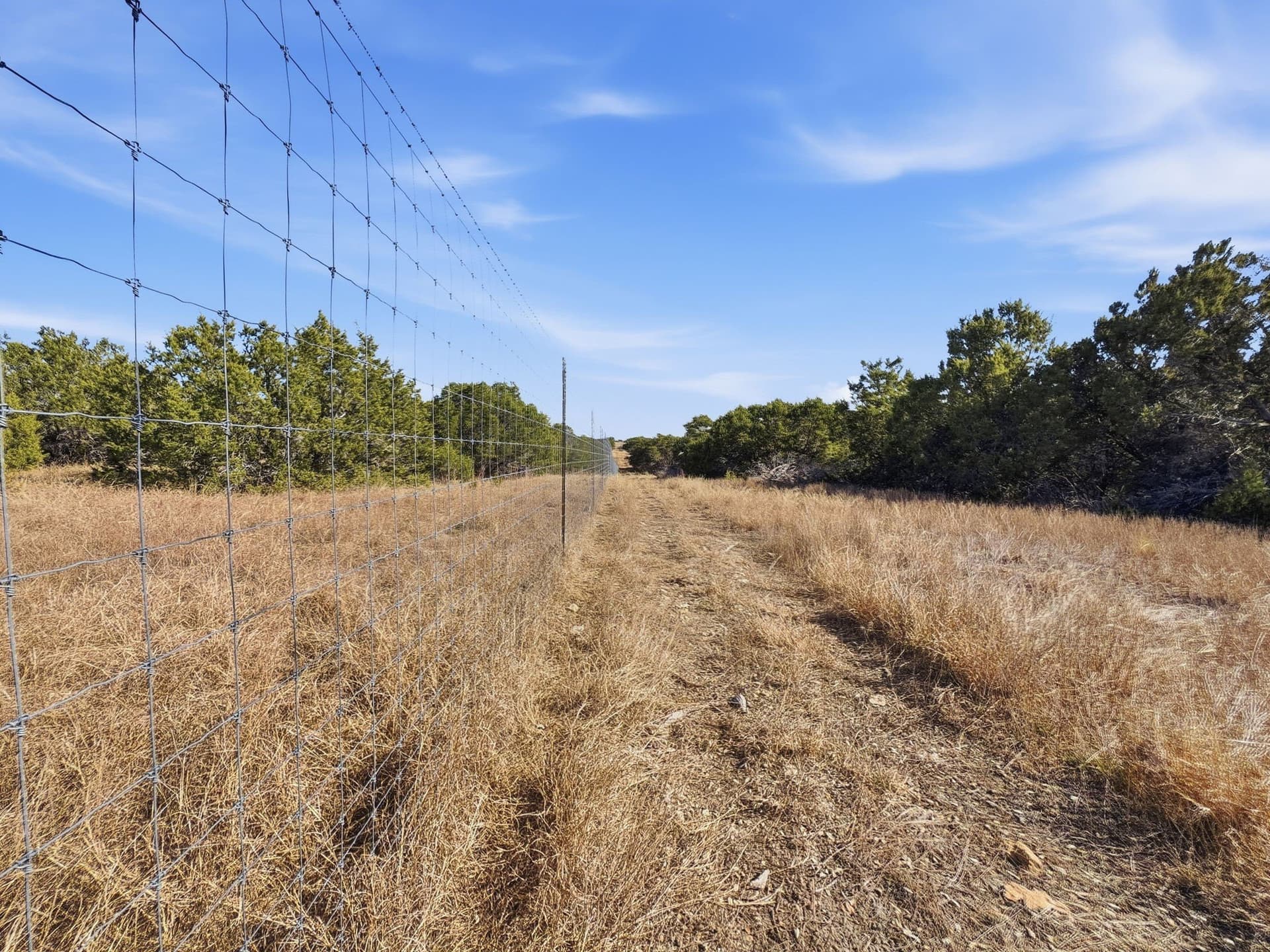 100 acres in Hamilton County - photo 8
