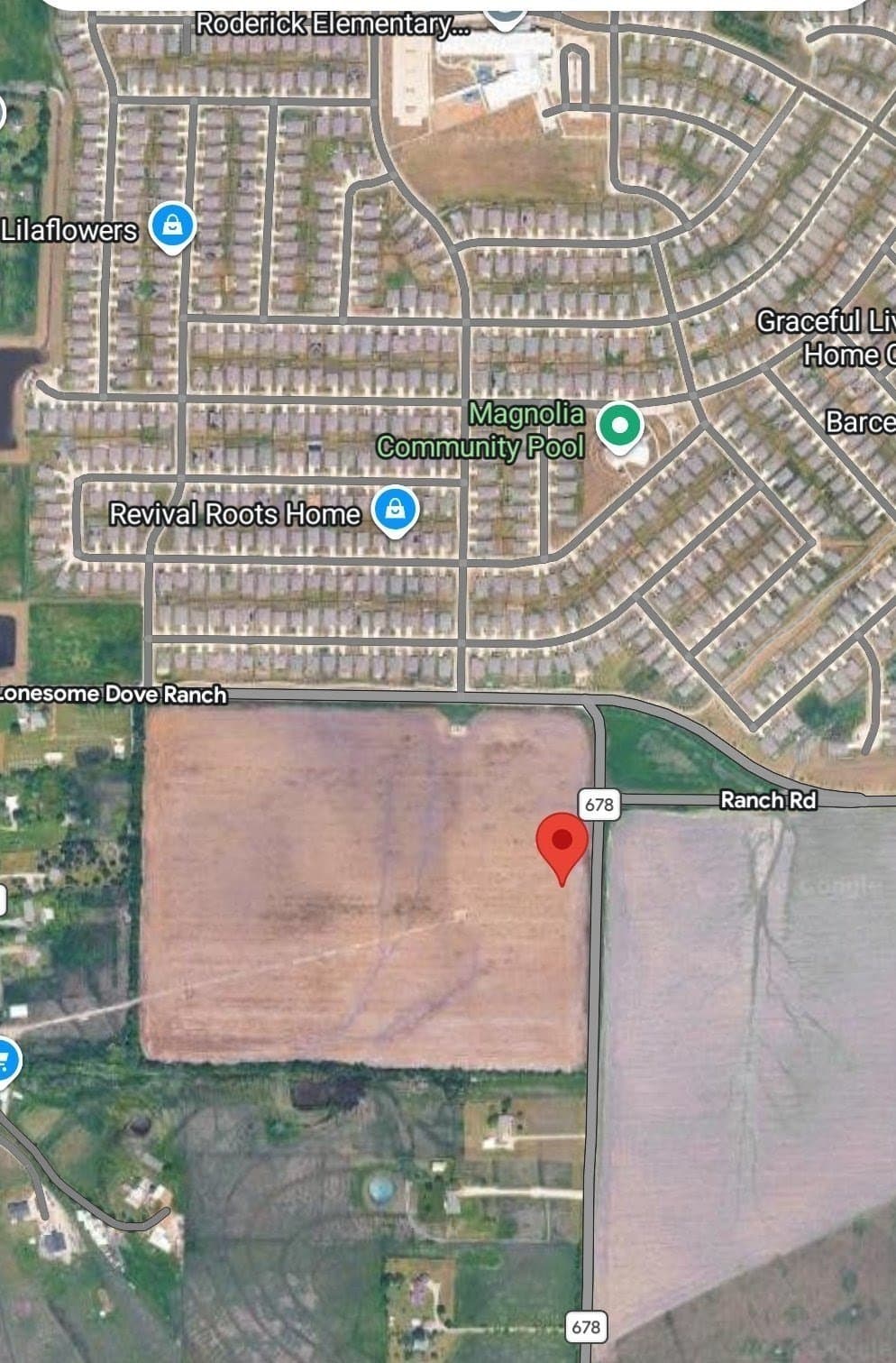 5 acres in Collin County gallery image 4