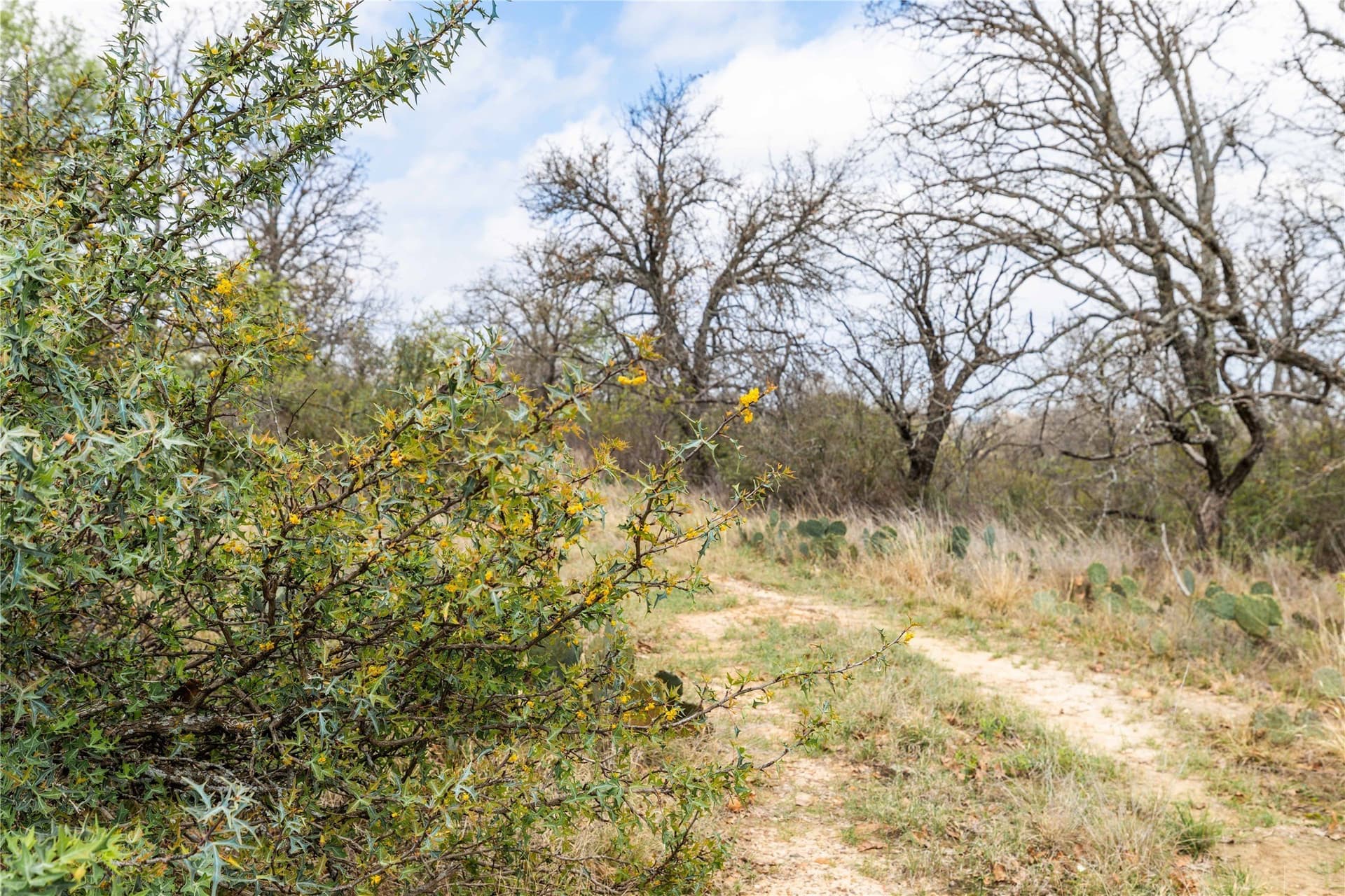 60.49 acres in Brown County - photo 32