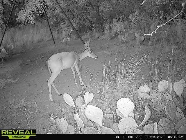 60.49 acres in Brown County - photo 39