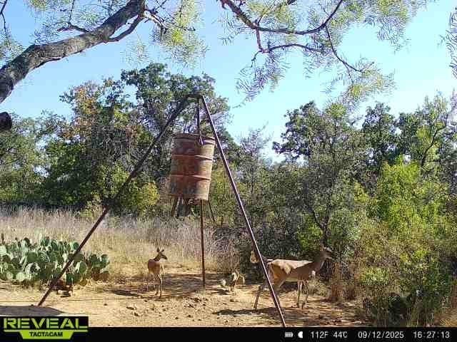 60.49 acres in Brown County - photo 40