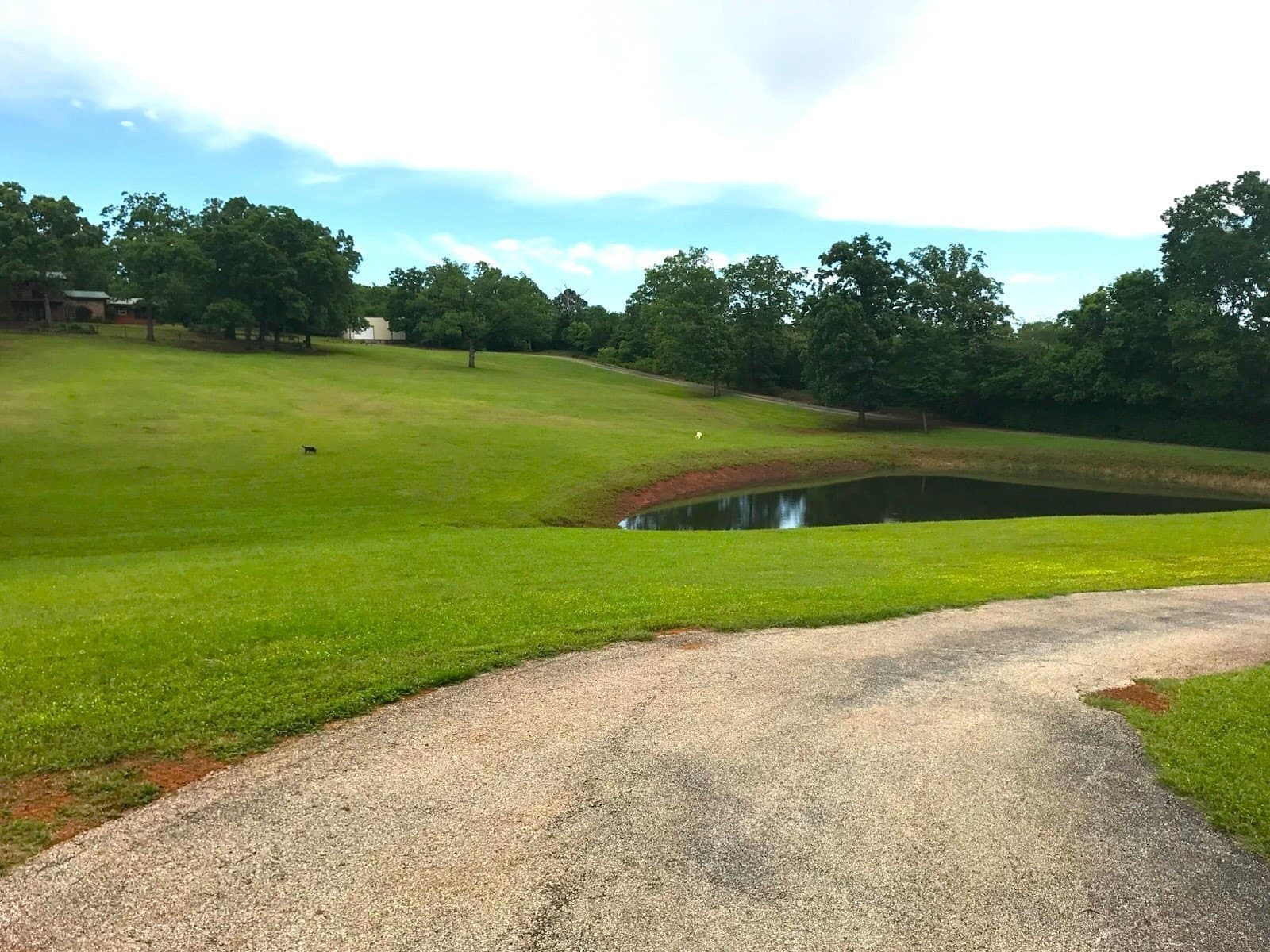 10 acres in Van Zandt County gallery image 2