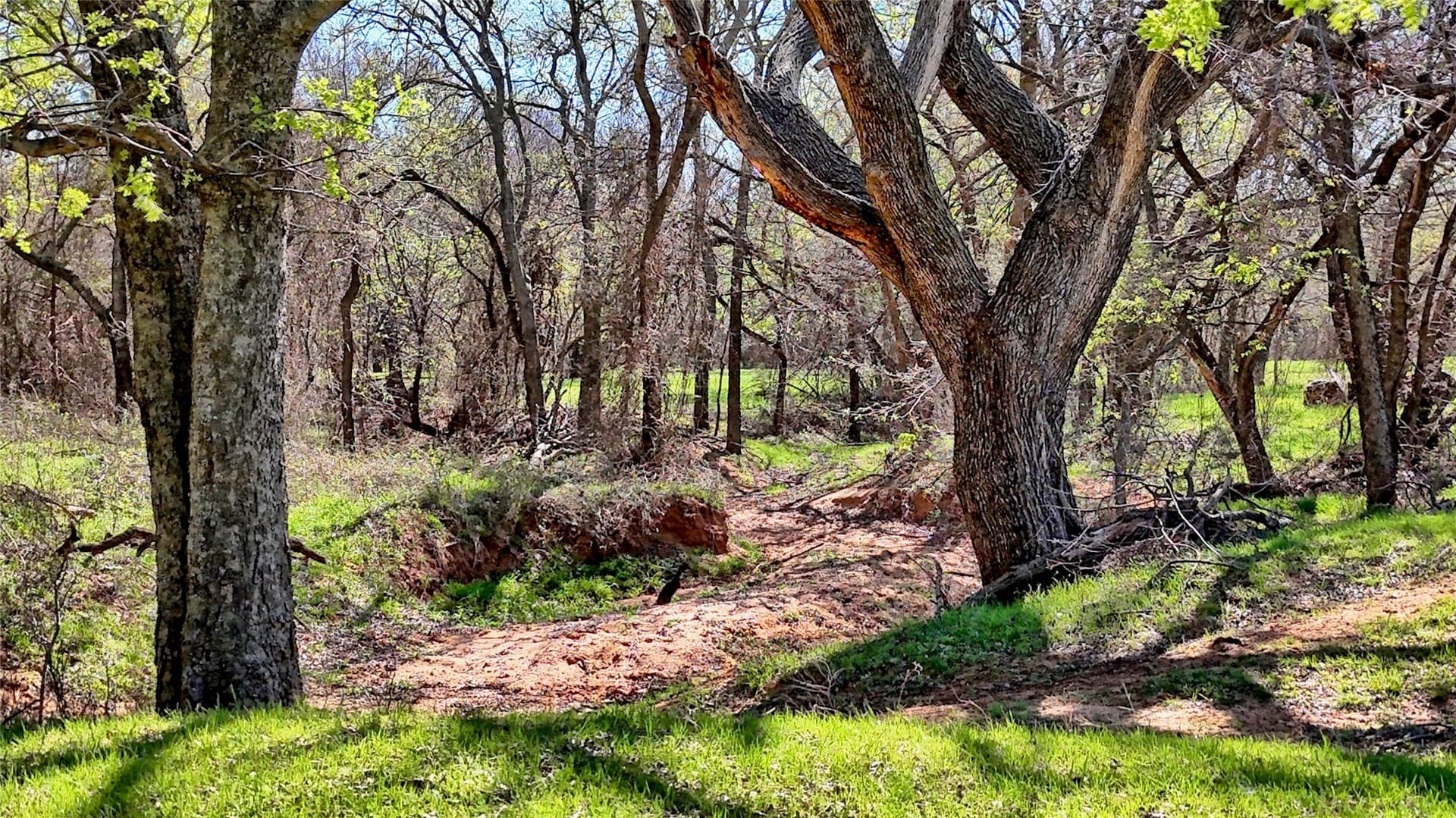 26.8 acres in Montague County - photo 21