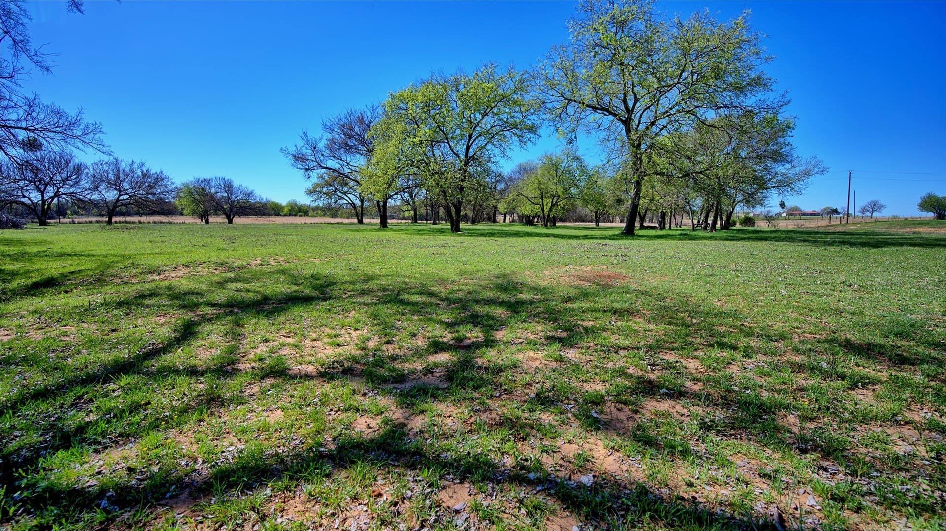 26.8 acres in Montague County - photo 7