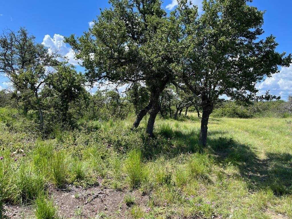 10.1 acres in Gillespie County - photo 5