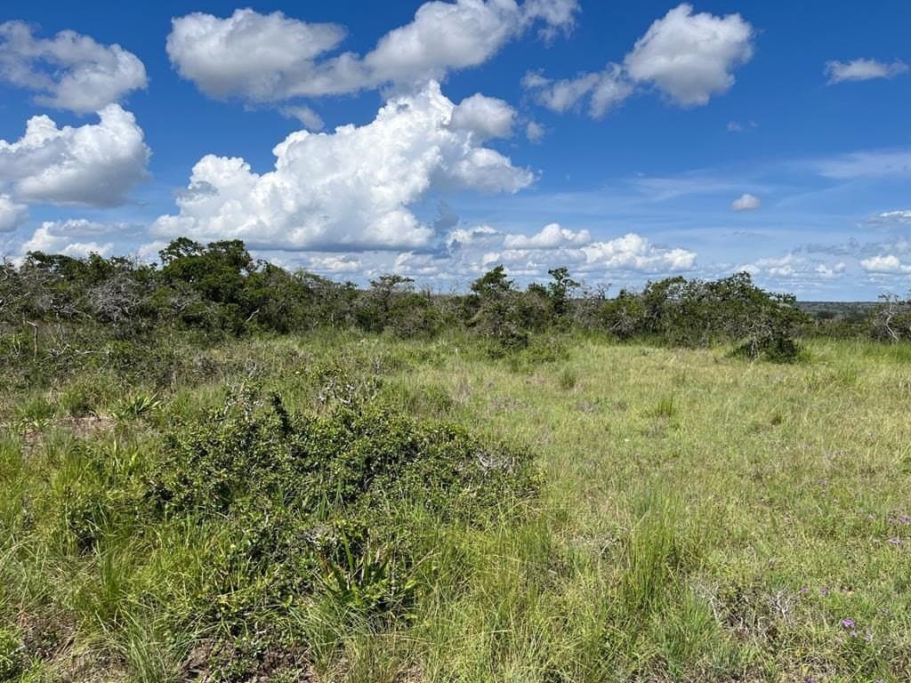 10.1 acres in Gillespie County - photo 7