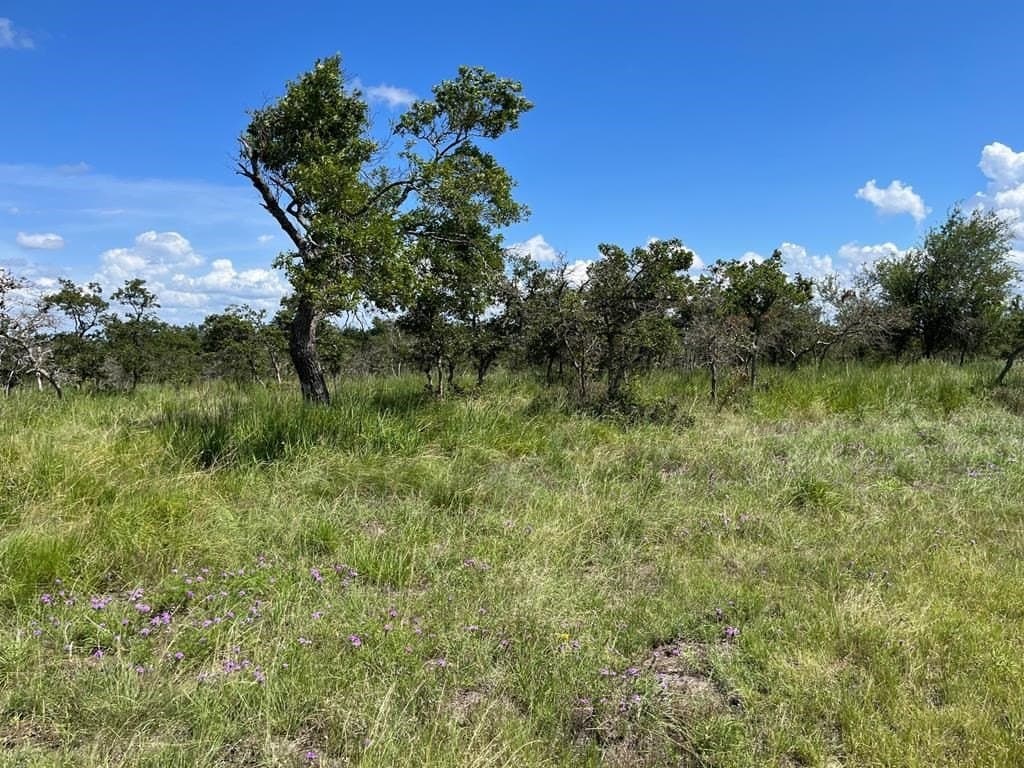 10.1 acres in Gillespie County - photo 2