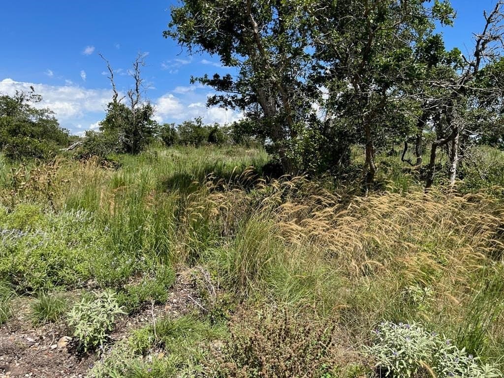 10.1 acres in Gillespie County - photo 8