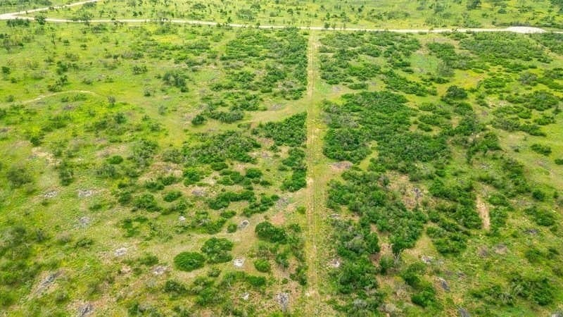 10.1 acres in Gillespie County - photo 6