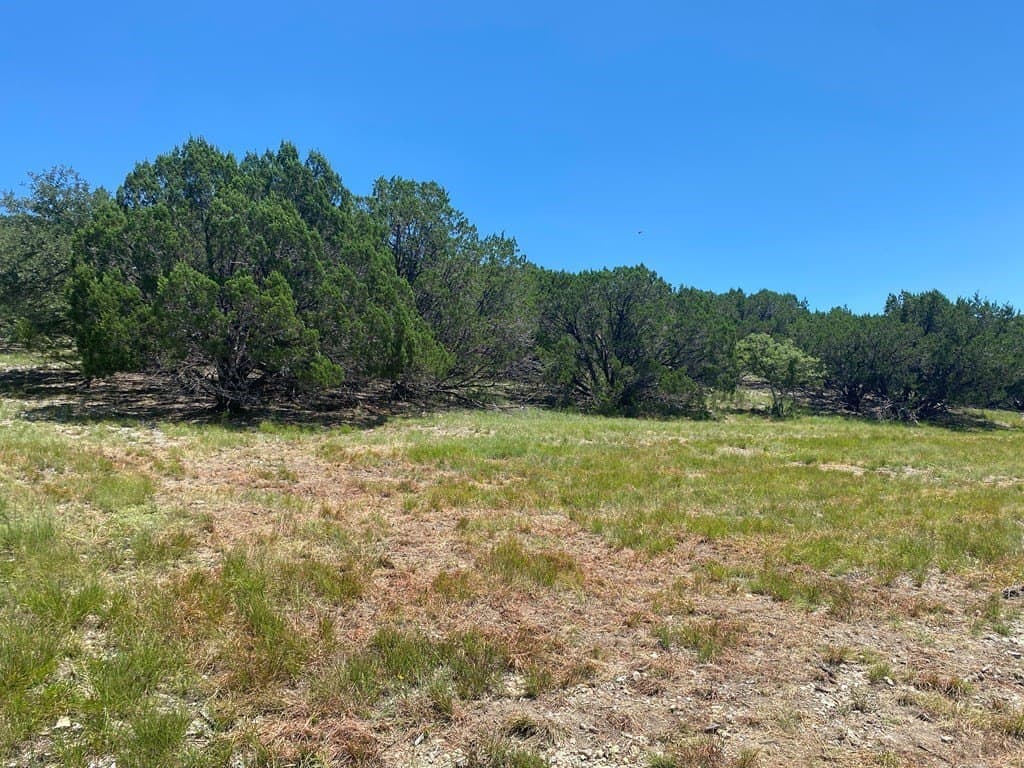 10.14 acres in Kerr County - photo 7