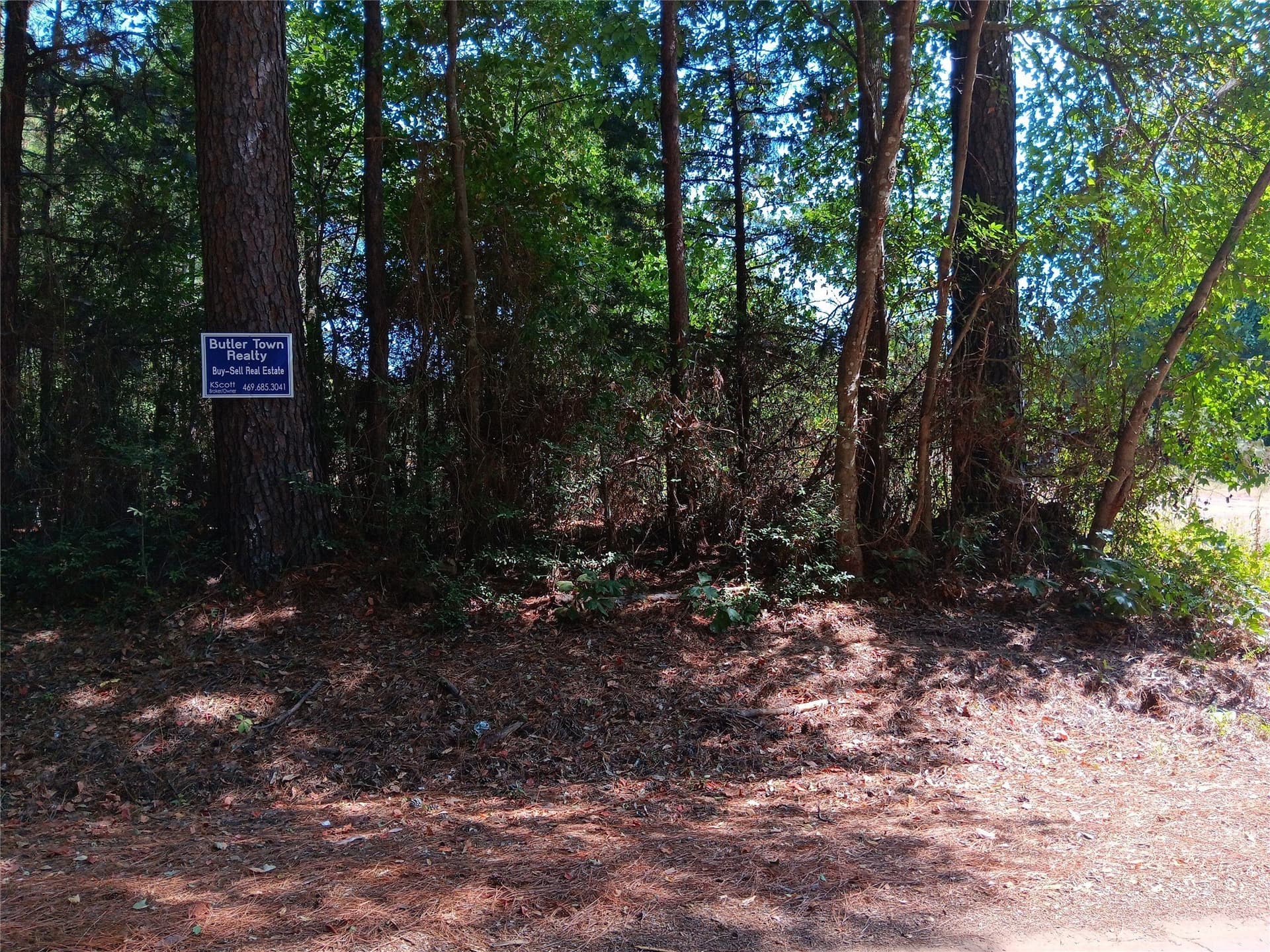 40 acres in Panola County - photo 2