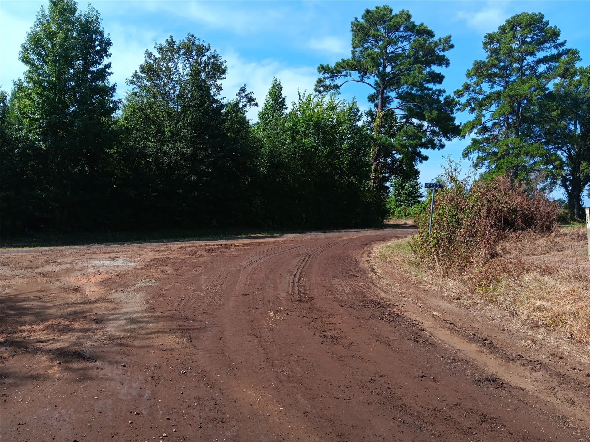 40 acres in Panola County